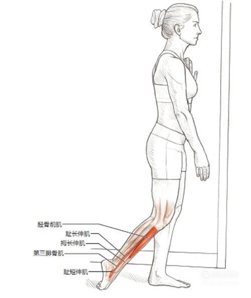 刻苦训练篮球时如何避免受伤的建议_1